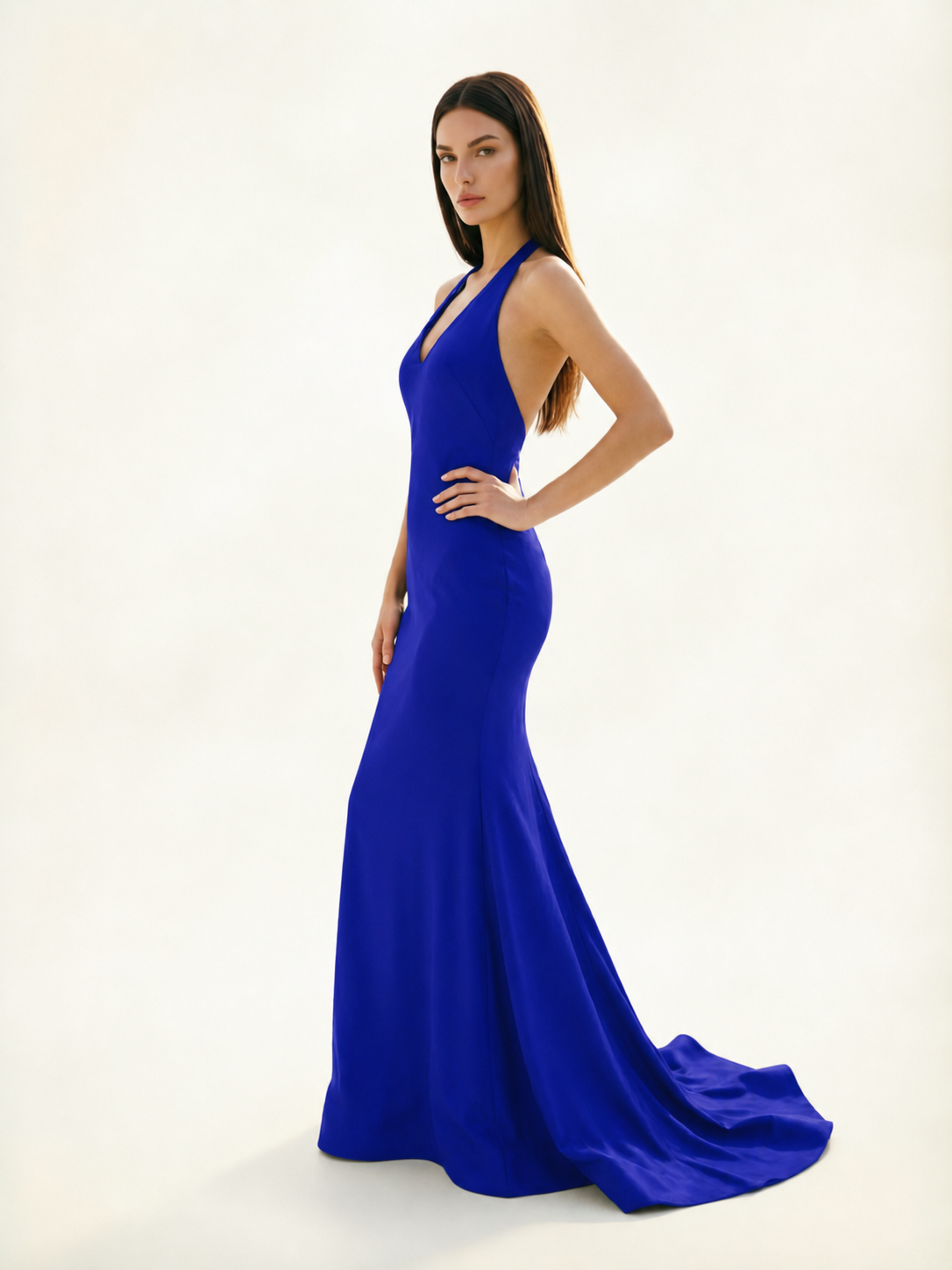 Halter Backless Mermaid Evening Gown